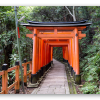 Toriiporte i Kyoto - klistermærke til kort
