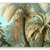 Haeckel Filicinae 92 - klistermærke til kort