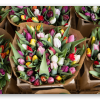 Tulipaner på blomstermarkedet - klistermærke til kort